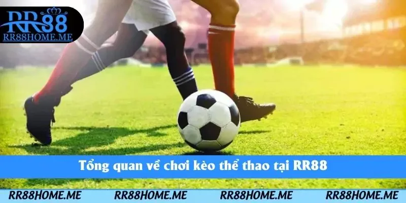 Hướng Dẫn Đặt Cược Thể Thao Mới Nhất Tại RR88 2 Tổng quan về chơi kèo thể thao tại RR88