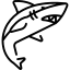 ban-ca-rr88