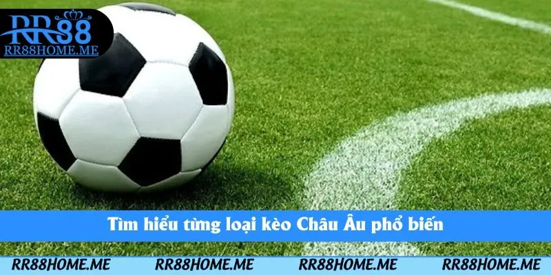 Tìm hiểu từng loại kèo Châu Âu phổ biến