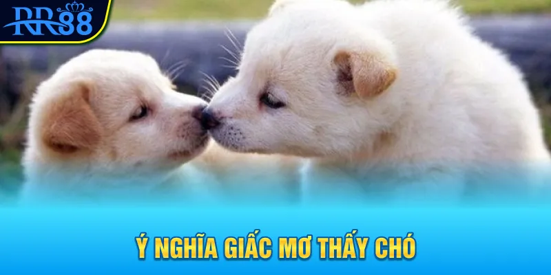Ý nghĩa giấc mơ thấy chó
